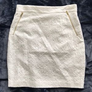 H&M Skirt with Gold Zipper and Embroidery detail